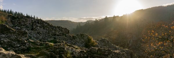 Uitzicht vanaf de rots in de Belgische Ardennen