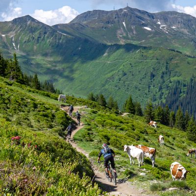 haklbergtrail-trail-trip-bike-guide